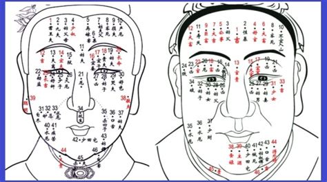 為什麼痣會長毛|痣是什麼？一次了解痣原因、就醫時機以及如何改善